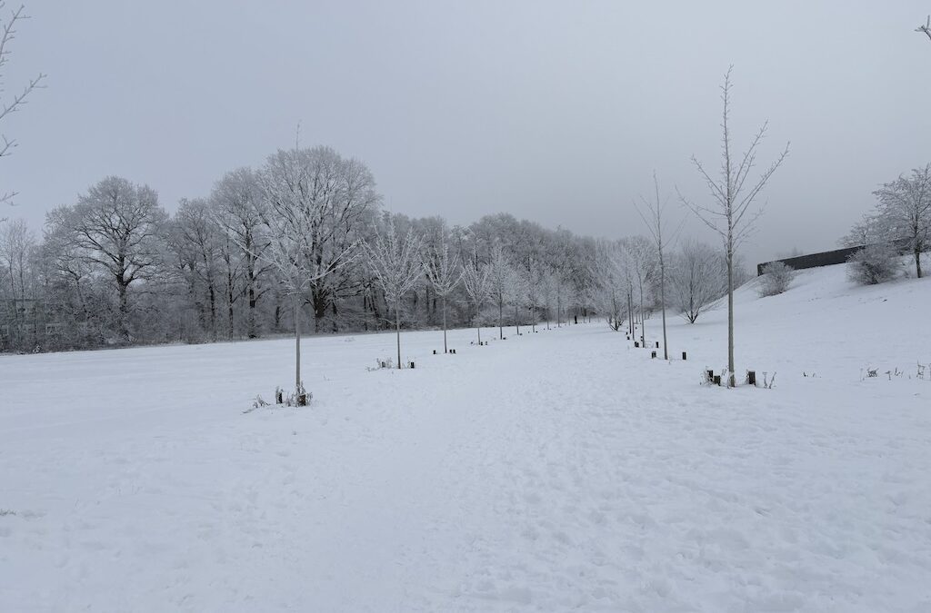 (c) 2026 - Florian Windeck