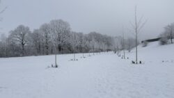 (c) 2026 - Florian Windeck